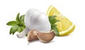 Garlic head lemon basil on white background Royalty Free Stock Photo