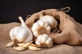 Garlic heads on a bag