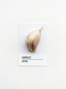 Garlic herb on white background