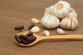 Garlic herbal supplement pills