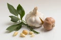 Garlic and herbs fresh, white backdrop