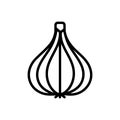 Black line icon for Garlic, alliaceous and plant