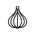 Black line icon for Garlic, alliaceous and plant Royalty Free Stock Photo