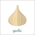 Garlic icon in flat style isolated on white background.