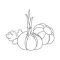 Garlic icon