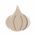 Garlic icon vector image.