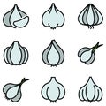 Garlic icons set vector flat