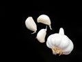 Garlic isolated on black background