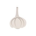 Garlic isolated. Vegetables on white background. Plant pungent t