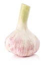Garlic isolated on white Royalty Free Stock Photo
