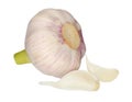 Garlic isolated on white background Royalty Free Stock Photo