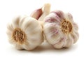 heads garlic isolated white background Royalty Free Stock Photo