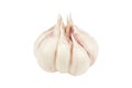 Garlic isolated. Isolated garlic on white background with clipping path. Whole fresh garlic. Fresh peeled garlic cloves, bulb with Royalty Free Stock Photo