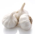 Garlic,Garlic isolated on white background Royalty Free Stock Photo