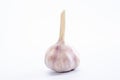 Garlic isolated white background organic. vitamins part Royalty Free Stock Photo