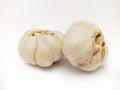 Garlic on isolated white background, two bulbs of garlic, two Heads of garlic, two knobs of garlic, unpeeled fresh garlic Royalty Free Stock Photo