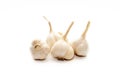 Garlic isolated in white background.