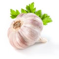 Garlic isolated on white.