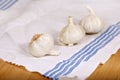 Garlic on kitchen towel