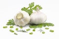 Garlic, leaves of parsley, dill, cut spring onions isolated on a white background Royalty Free Stock Photo