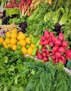 Garlic, lemon, dill, radish, Basil, horseradish, roots, turnips, beets, green onions, lettuce, spinach, sorrel, chili, sweet Royalty Free Stock Photo