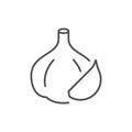 Garlic line icon or vegetable concept