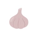 Garlic logo in flat style. Isolated object. Garlic icon. Vegetable from the garden. Organic food.