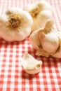 Close-up to garlic on red and white table cloth in rustic styl