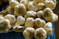 garlic at the market Royalty Free Stock Photo