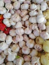 Garlic in the Market