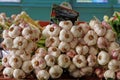 Garlic on the market of Figeac Royalty Free Stock Photo