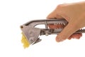 Garlic mincer