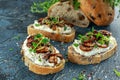 Garlic mushroom toast with creamy herbed ricotta chees spread Royalty Free Stock Photo