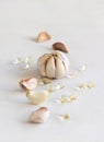 Garlic oil in capsules near whole bulb and cloves on a white table close up Royalty Free Stock Photo