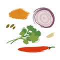 Garlic and onion Cilantro Red chili pepper Turmeric Zira illustration on white background