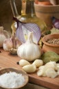 Garlic, onion, coriander, sesame seeds, black pepper, bay leaf, sea salt. Royalty Free Stock Photo