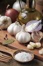 Garlic, onion, coriander, sesame seeds, black pepper, bay leaf, sea salt, olive oil Royalty Free Stock Photo