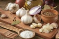 Garlic, onion, coriander, sesame seeds, black pepper, bay leaf, sea salt, olive oil Royalty Free Stock Photo