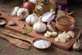 Garlic, onion, coriander, sesame seeds, black pepper, bay leaf, sea salt, olive oil Royalty Free Stock Photo