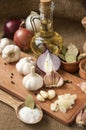 Garlic, onion, coriander, sesame seeds, black pepper, bay leaf, sea salt, olive oil Royalty Free Stock Photo