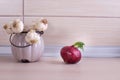 Garlic and onion on countertop Royalty Free Stock Photo