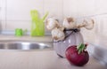 Garlic and onion on countertop Royalty Free Stock Photo