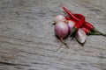 Garlic, onion and peppers for cooking. Put on the wood floor in Royalty Free Stock Photo