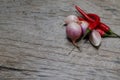 Garlic, onion and peppers for cooking. Put on the wood floor in Royalty Free Stock Photo