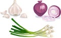 Garlic, Onion, Scallion Royalty Free Stock Photo