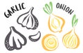 Garlic and onion set hand painted with ink brush Royalty Free Stock Photo