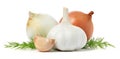 Garlic, onions and dill Royalty Free Stock Photo