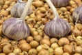 garlic and onions are fresh traditional vegetables. Large garlic and small onions.