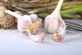 Garlic organic farm products selective focus