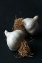 Garlic, organic natural garlic on a black background